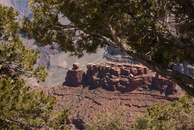 Framed view of the Grand Canyon