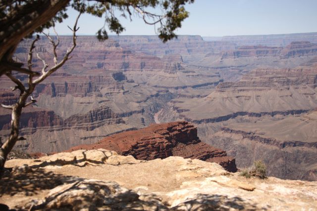 Colorado River 