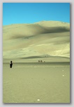 Star Dune - 750 ft high (highest point in Park) 