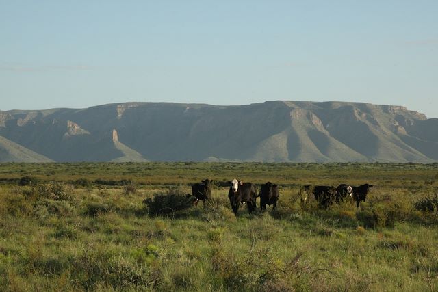 Guadalupe Mountains