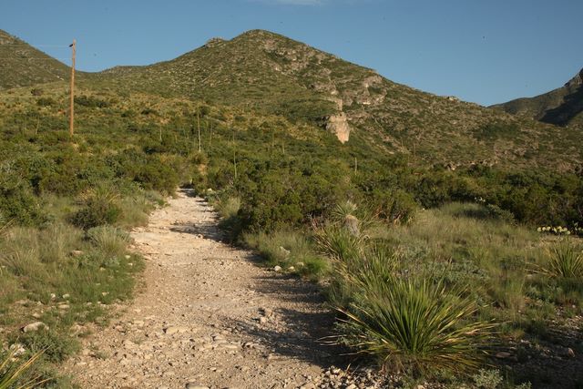 McKittrick Canyon Trail