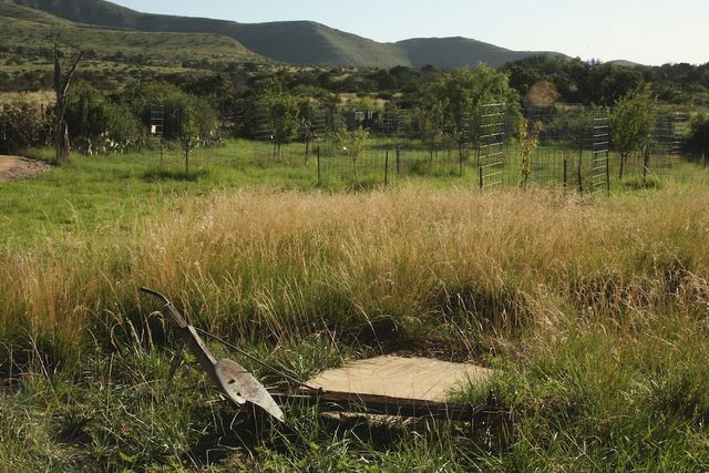 Frijole Range Museum area