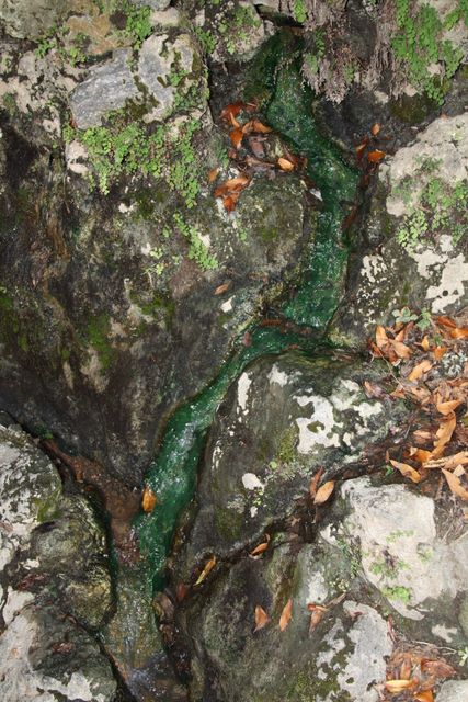 Water trickling down into a spring