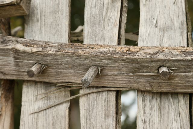 Jamestown -- No metal nails only wooden ones 