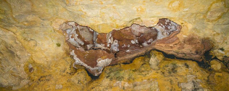 Unique Calcite Crystals embedded in Limestone wall 
