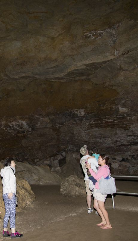 Viewing the Cave