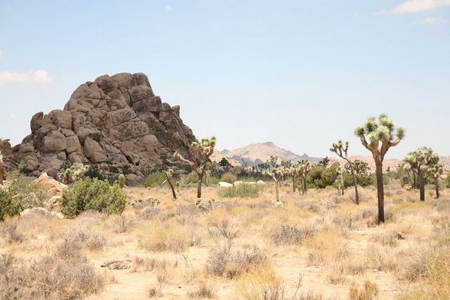 Rock piles