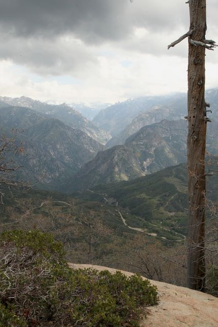Junction View