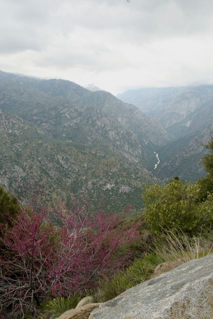 The Kings River 
