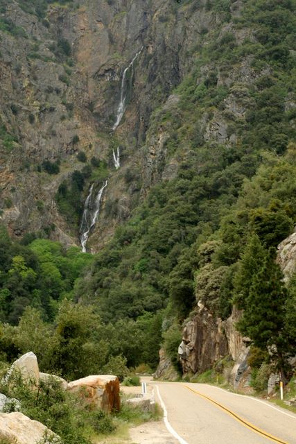 Grizzly Falls 
