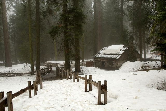 Old Barn on Grant's Grove Trail