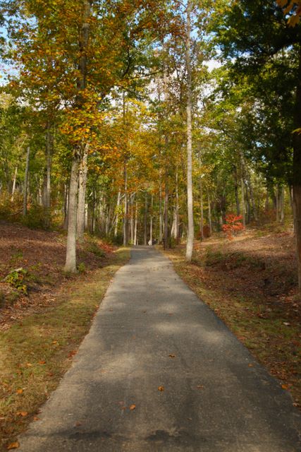 Battlefield Trail 