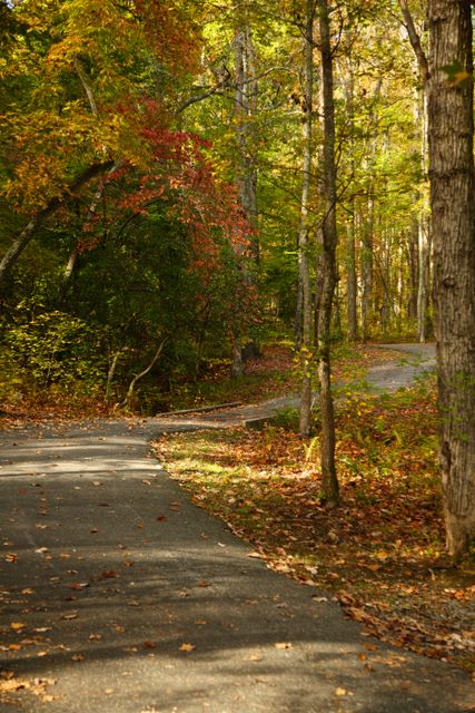 Paved path 