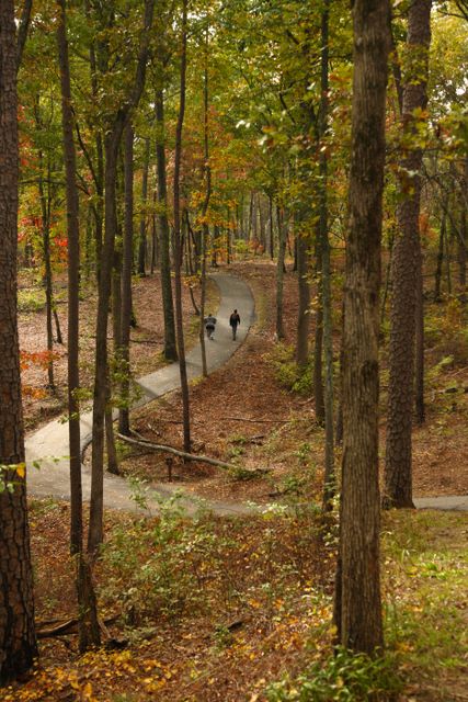 Walking the trail 