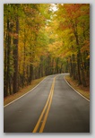 Entrance Road into the Park 
