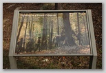 Wayside Exhibit 