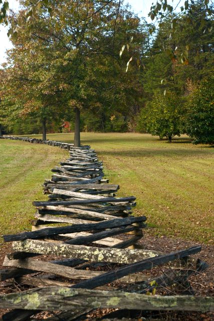 Split Rail Fence