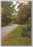Road in Park 