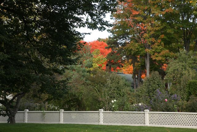 Beautiful Fall Colors 