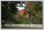 Beautiful Fall Colors 