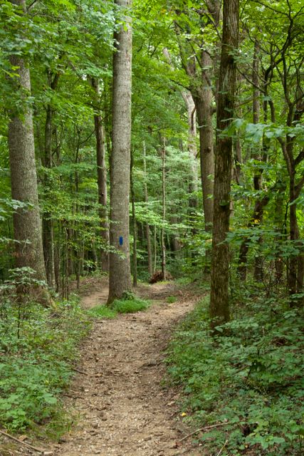 One of the may Trails throughout the Park