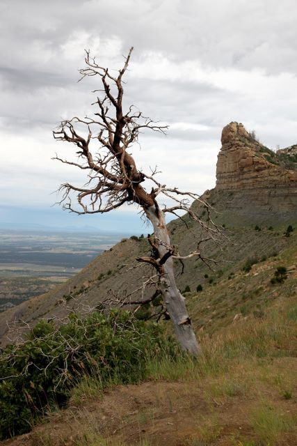 Different view Montezuma Valley Overlook