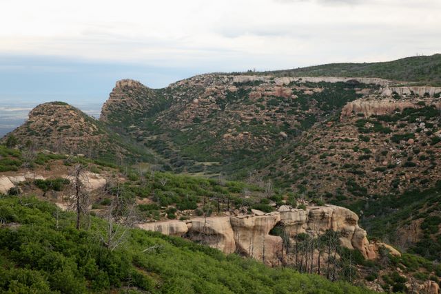 Another Overlook 