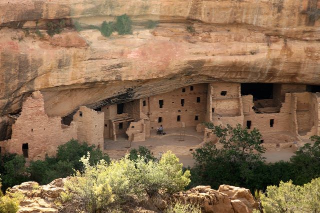 Spruce Tree House
