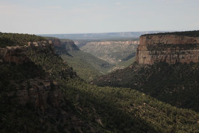 Cliff Canyon 
