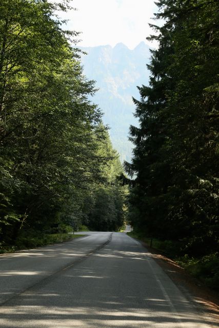 Mt Baker -- WA Highway 542 