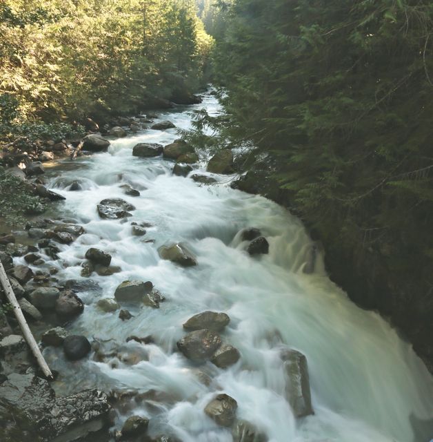 Mt Baker -- Wells Creek (upper Nooksack Falls)