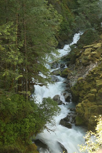 Mt Baker -- Wells Creek 