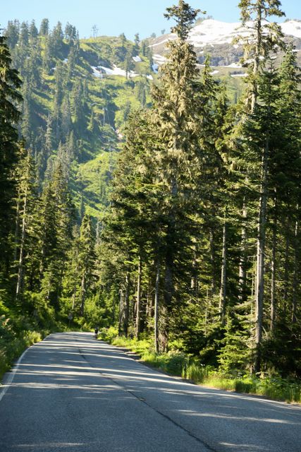 Mt Baker -- Washington Hwy 542 