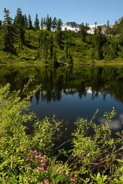 Mt Baker -- Picture Lake - Heather Meadows 