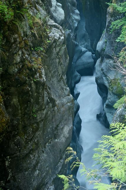 Mt Rainier -- Box Canyon, Muddy Fork of the Cowlitz River 