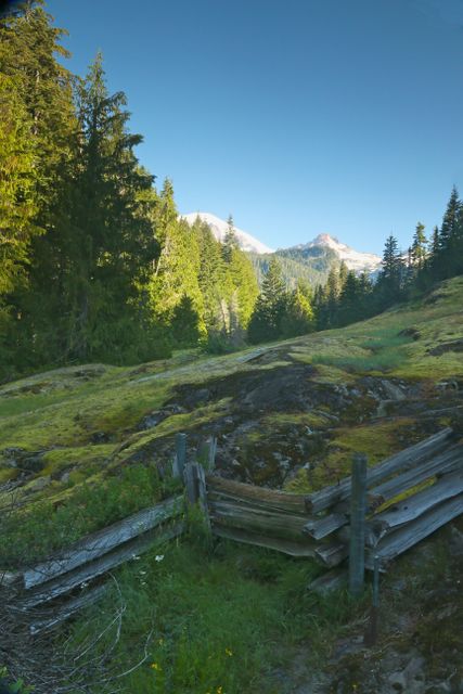 Mt Rainier -- Box Canyon Trail 