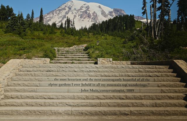 Mt Rainier -- Steps