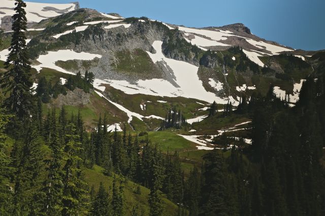 Mt Rainier -- Snow cover mountain in June 