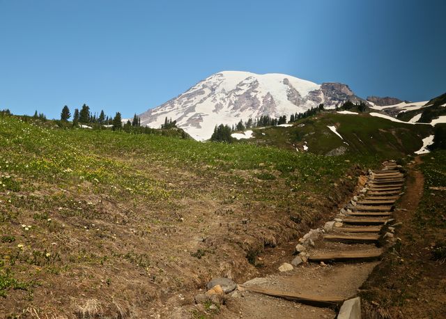 Mt Rainier -- Paradise Trail 