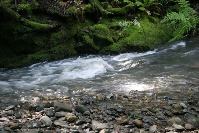 Red Wood Creek