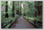 Hillside Trail 