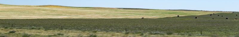 National Grasslands 
