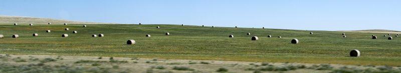 Round Bales