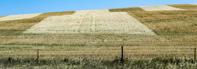 Unique Patterns in a Hay Field 