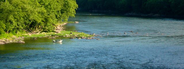 Fishing in the New River