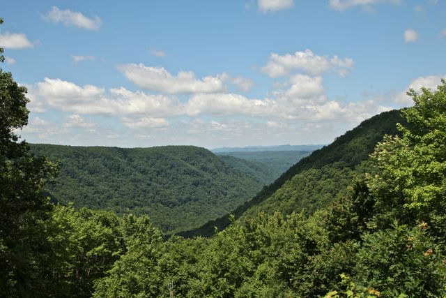 Canyon Rim
