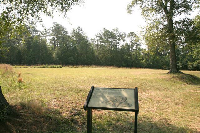 Revolution Fighting Site 