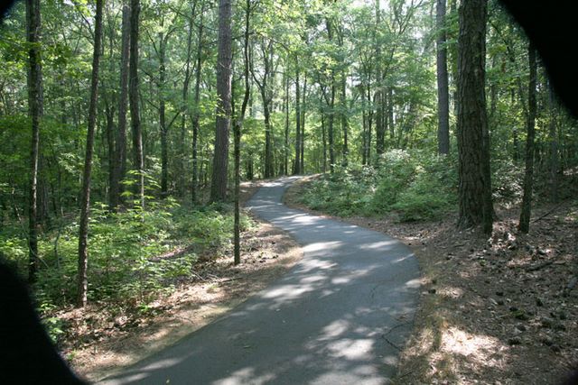 Trail