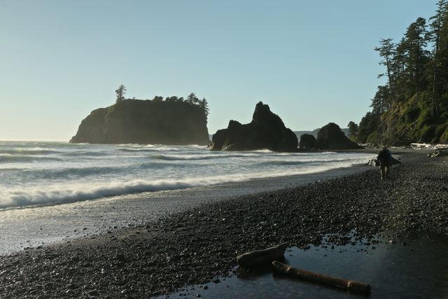 Olympic National Park - Coastal Area -- Hiking along the Beach 