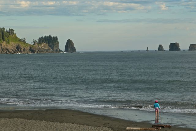 Olympic National Park - Coastal Area -- Beach Combing 
